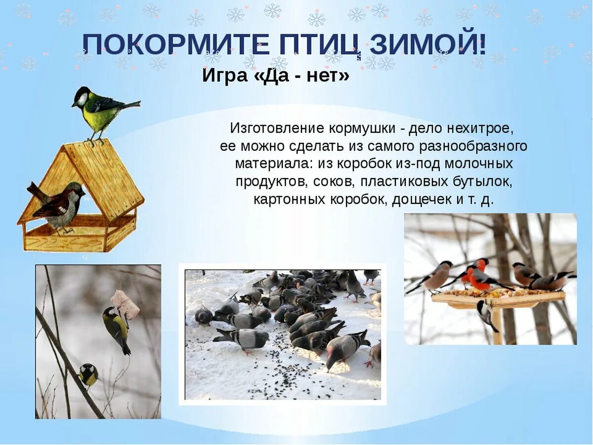 Как помочь птицам зимой 1 класс. Покормите птиц зимой. презентация покормите птиц зимой. накорми зимующих птиц. забота о птицах зимой.
