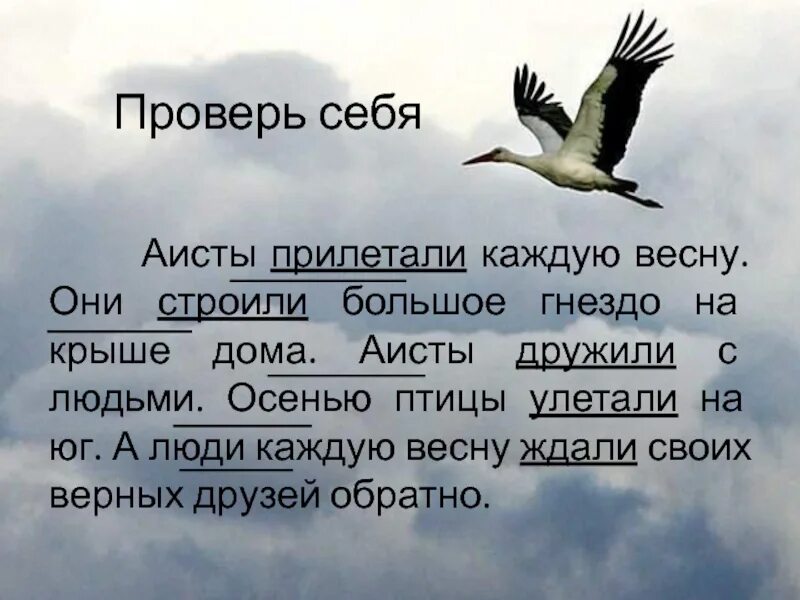 Аист прилетел. Стихотворение Высоцкого Аисты. Аист текст. Рассказ Аист прилетел. План текста аист у многих народов считается