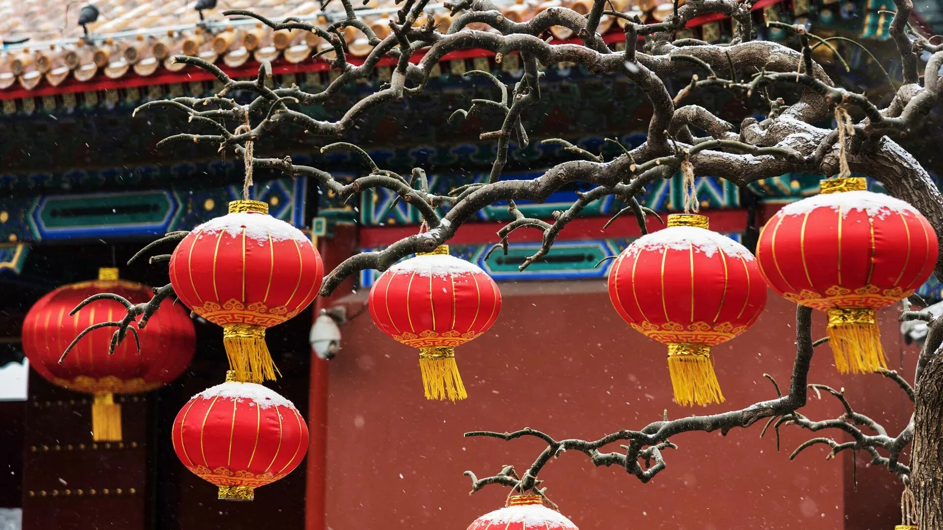 Как будет китайский красный. 春节 В Китае. Китайский новый год 春节. Китайские фонарики. Китайский фонарь.