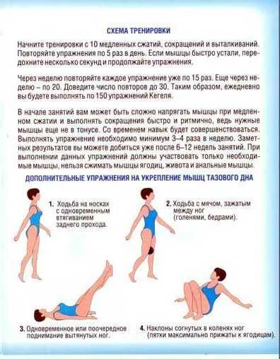 Гимнастика кегеля для женщин для укрепления мышц. Гимнастика для мышц тазового дна для женщин при недержании мочи. Упражнения для укрепления мышц тазового дна у женщин при недержании. Упражнения для укрепления мышц тазового дна и мочевого пузыря