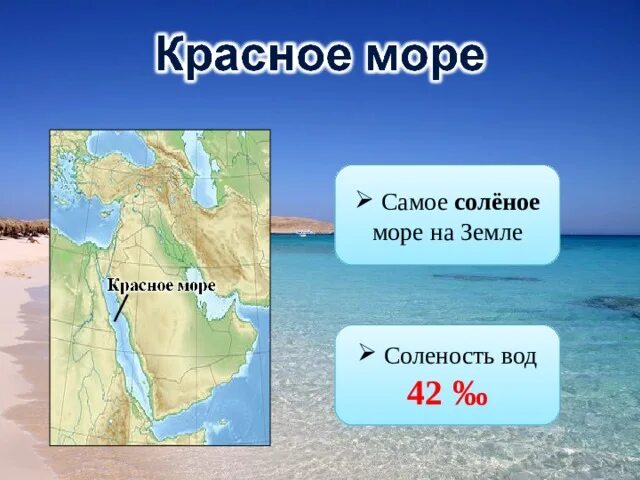 Какого океана является красное море. Самое соленое море. Красное море самое соленое. Самое соленое море на карте. Соленнстькрасное красное море.