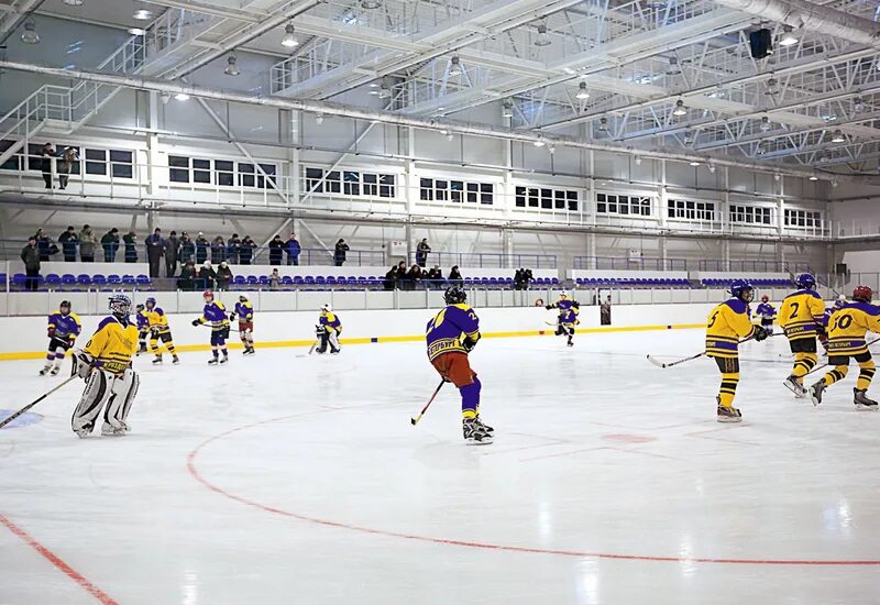 Селятино ледяной дворец. Ледовый дворец медногорск. Селятино каток ледовый дворец. Селятино каток ледовый дворец. Ледовый дворец апатиты.