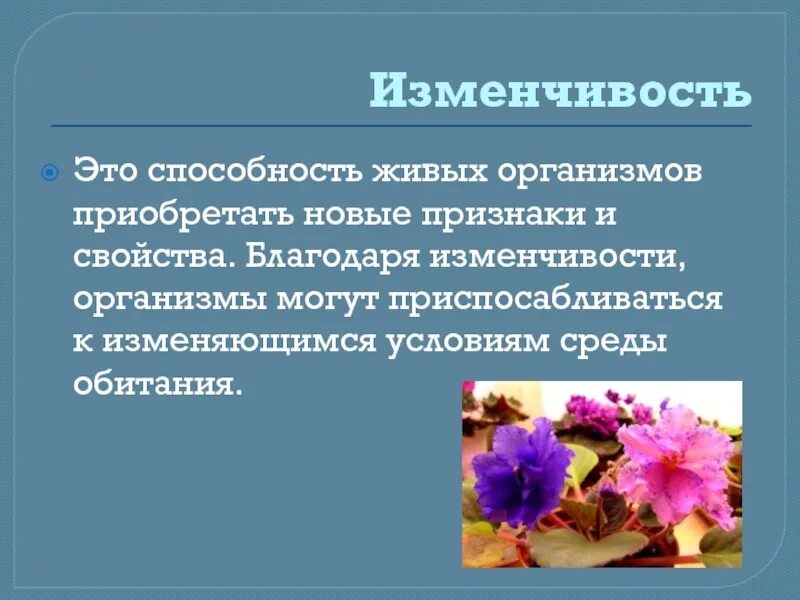 Способность организмов приобретать новые признаки это. Изменчивость это способность организмов. Изменчивость это способность организмов приобретать. Модификационная изменчивость у живых организмов. Изменчивость способность приспосабливаться к условиям среды.