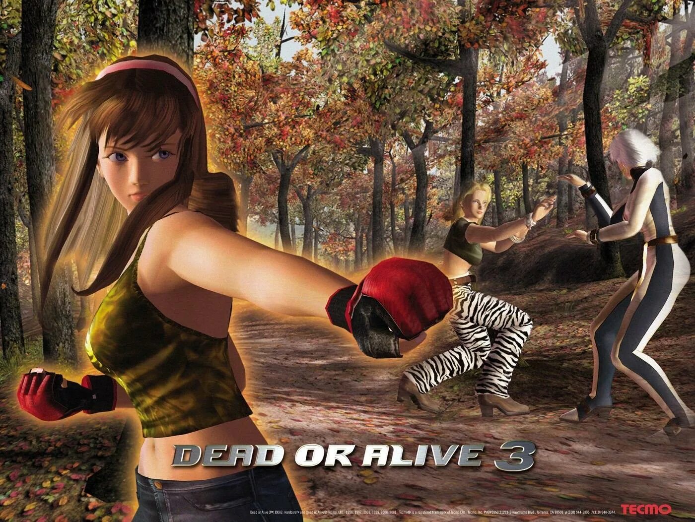 Dead or Alive 4. Dead of Alive игра. Dead or Alive 3 Xbox Original. Dead or Alive 3 игра.