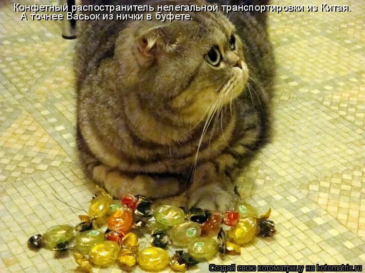 хочешь конфетку а нету. не грусти держи конфетку. черный юмор. хочешь конфетку песня. хочешь конфетку песня оригинал.