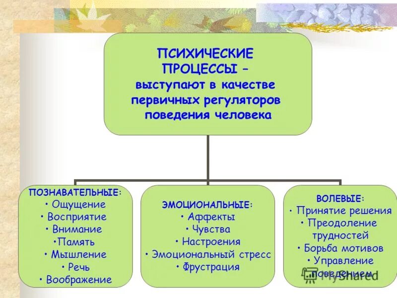 Познавательные процессы волевые процессы эмоциональные. Психические процессы в психологии. Виды психологических процессов. Психические и психологические процессы. Класс психические процессы