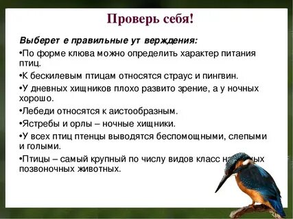 Кожа птиц выберите ответ