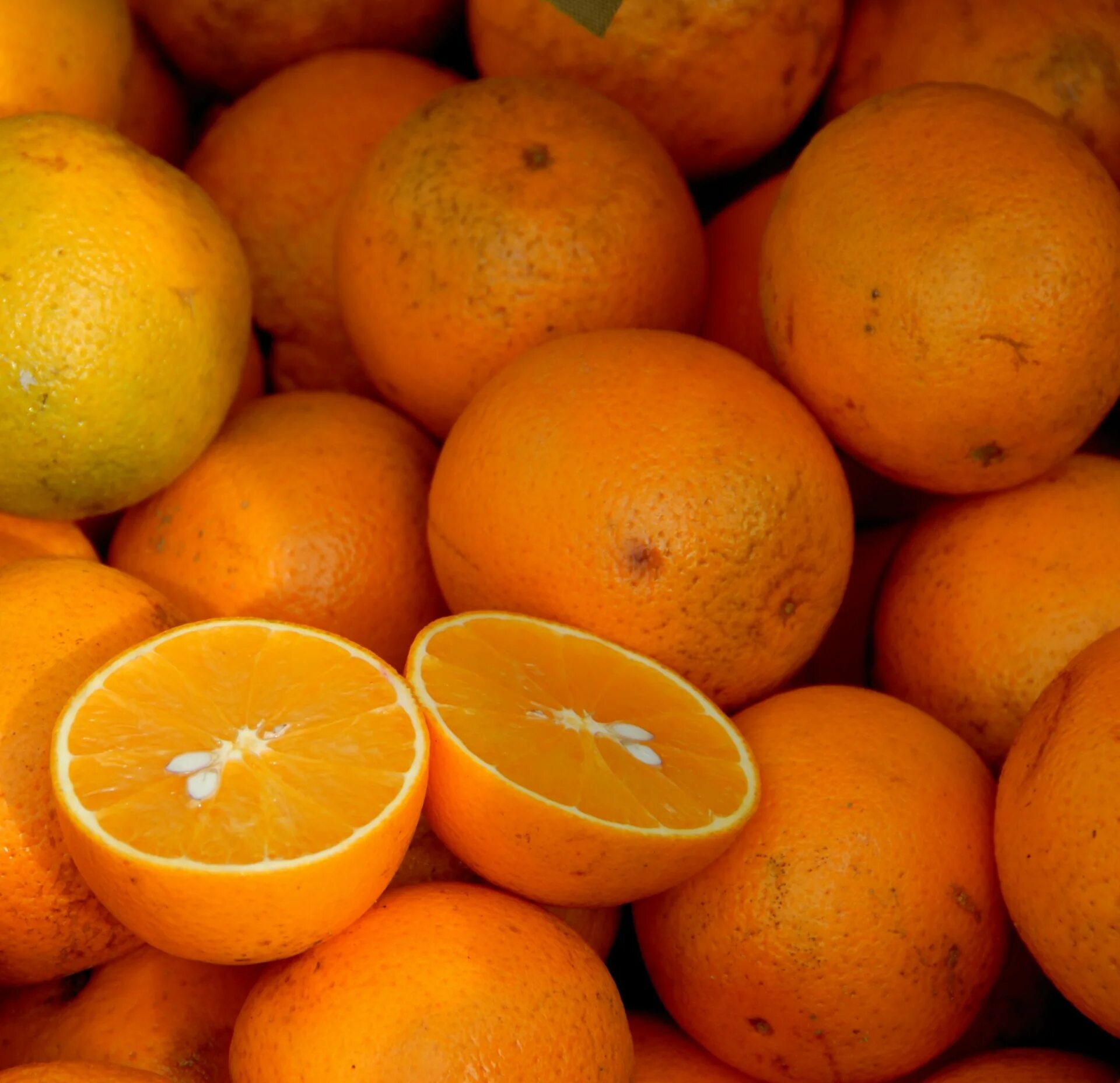Почему мандарин оранжевый. Апельсин. Апельсины много. Вкусный апельсин. Калифорнийский апельсин.