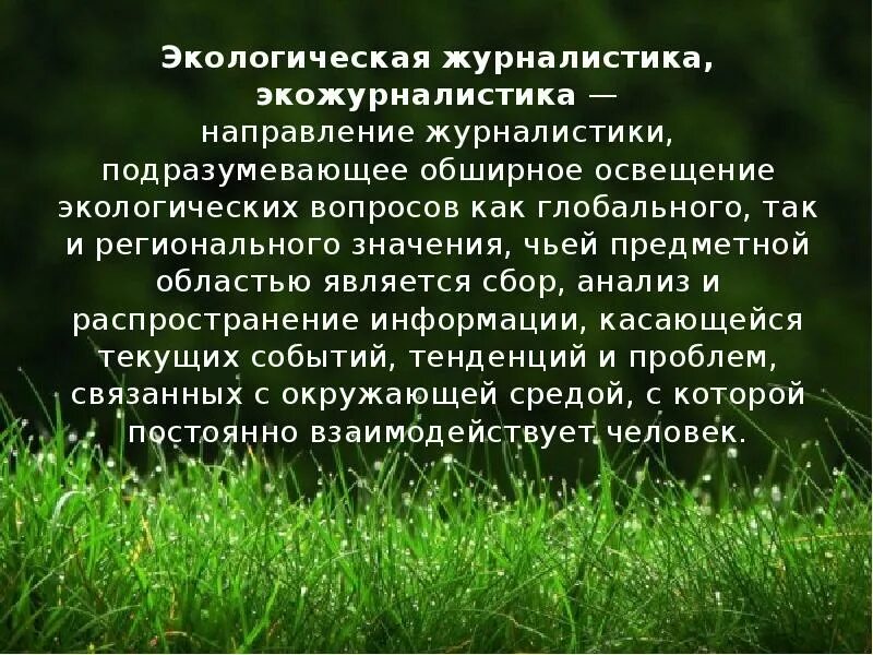 Экологические инициативы. Экологическая журналистика. Зеленая журналистика. Экологическая журналистика это кратко. Экожурналистика.