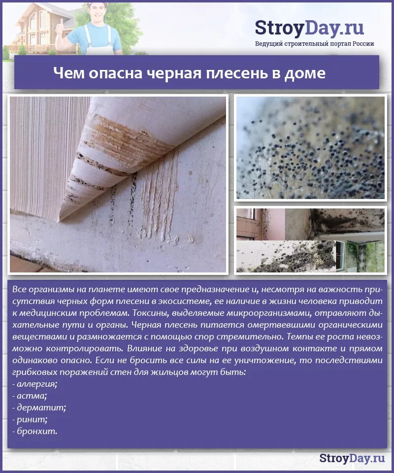 Почему дома появляется плесень на стенах
