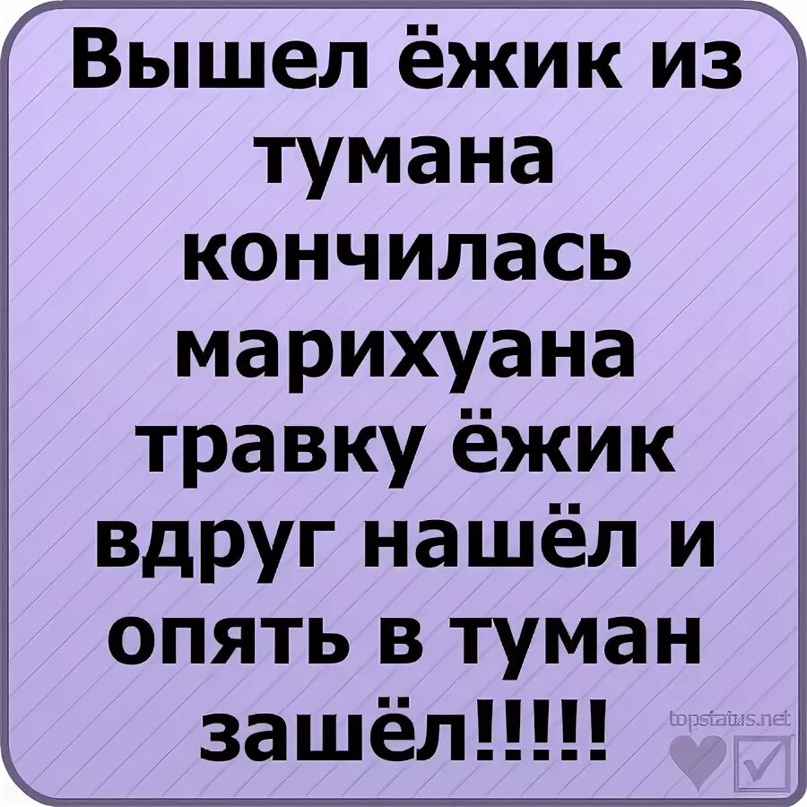 Вышел ежик из тумана содержание. Вышел ёжик из тумана. вышел ёжик из тумана кончилась прикол. вышел ёжик из тумана кончилась марихуанна. вышел ёжик из тумана прикол.