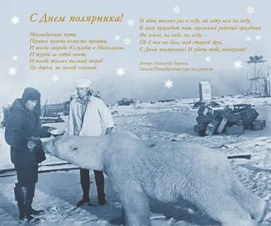 Рассказ какие они полярники