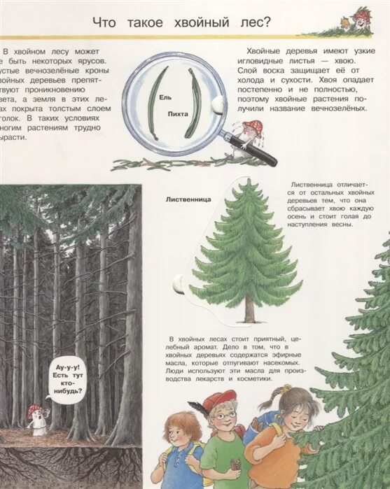 Изучаем лесных. Мы изучаем лес с волшебными окошками. мы изучаем лес книга. изучение в лесу. лес зачем отчего почему.