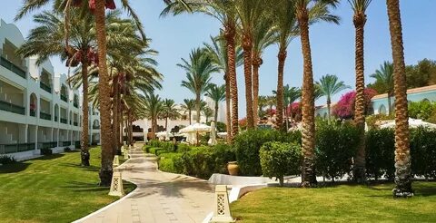 Барон палмс резорт шарм эль шейх 16