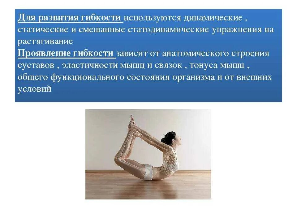 Занятия развивающие гибкость. Упражнения для развития гибкости. методика развития гибкости. гибкость упражнения для развития гибкости. гимнастические упражнения на гибкость.