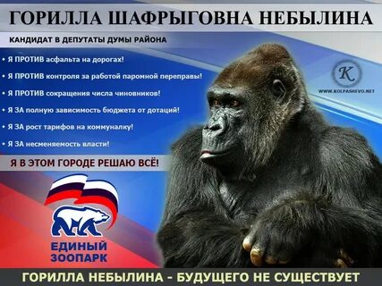 Что значит кандидат
