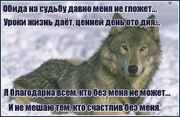 Все что мне судьба дает. Уроки жизни цитаты. Обиженный на судьбу. Обида на судьбу давно меня. Спасибо за урок жизни цитаты.