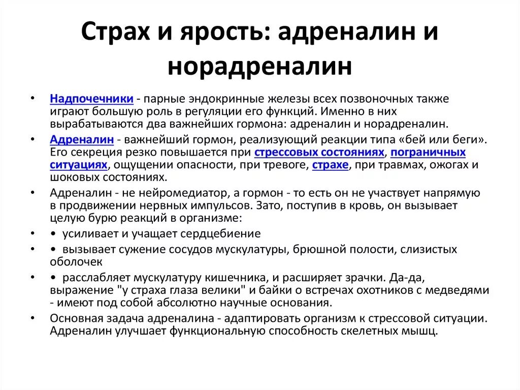 Адреналин и норадреналин. Адреналин и норадреналин функции гормона. Эффекты адреналина и норадреналина. Влияние адреналина и норадреналина на организм. Адреналин влияние на нервную систему