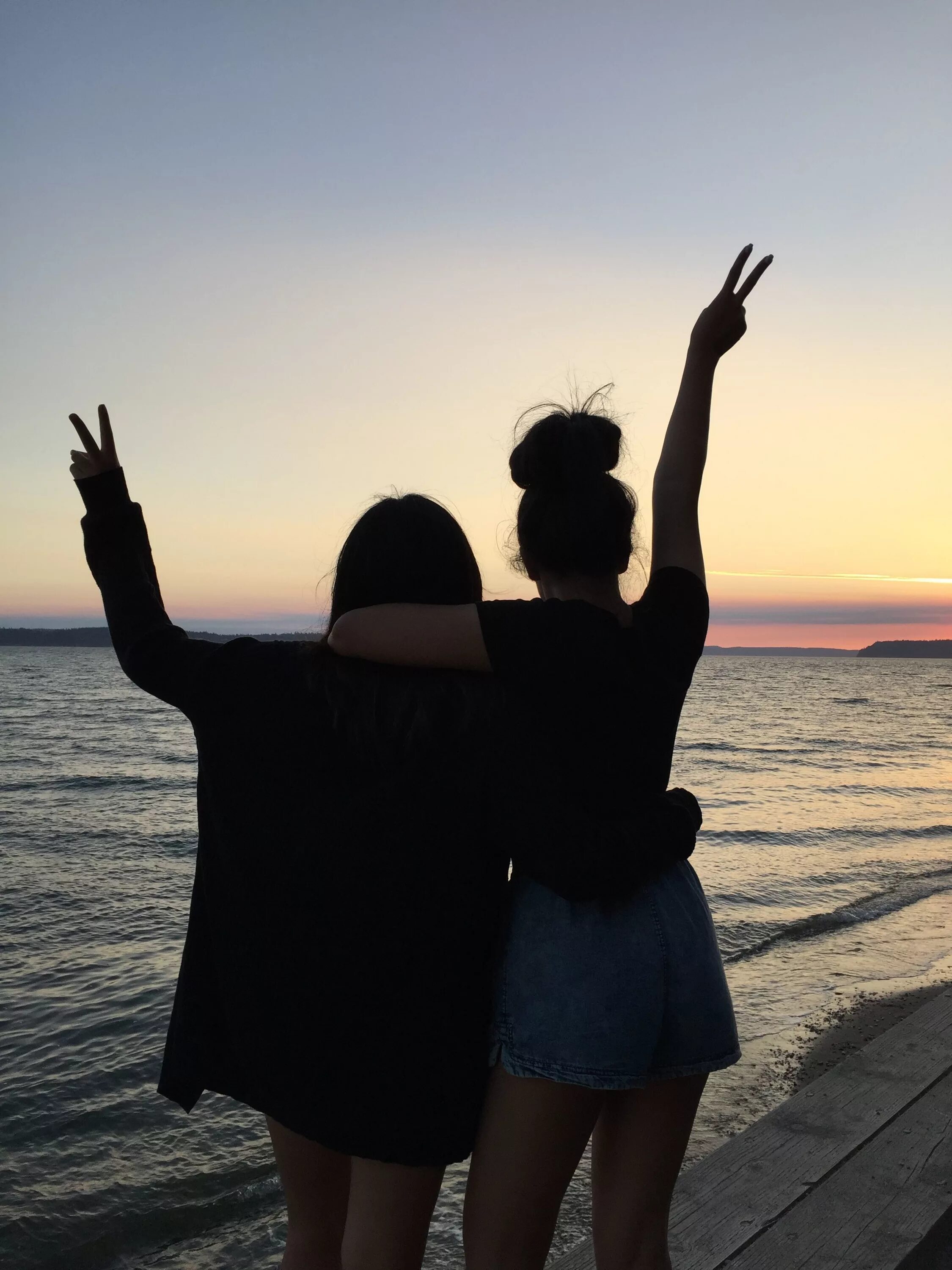 Две девушки обнимаются. Вместе друг с другом. Две подруги картинки. Подруга любит рукой подругу. Подруга любит рукой подругу.