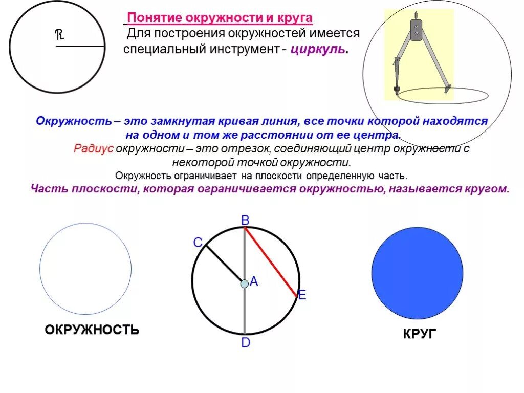 Окружность. Круги и окружности. Понятие круг и окружность. Тема окружность.