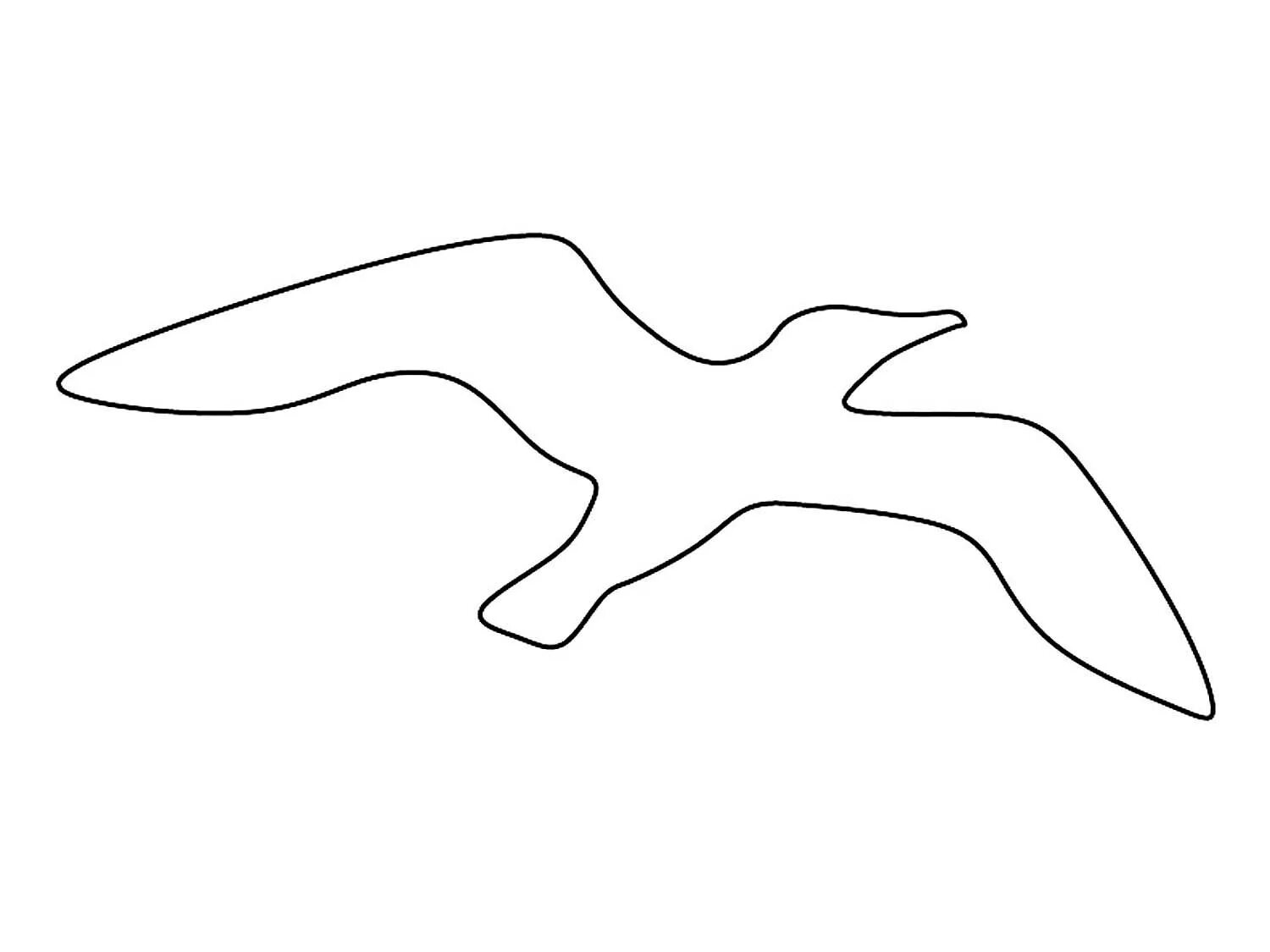 Трафарет чайки на стену. Шаблон чайки. Альбатрос силуэт. Силуэты чаек. Чайки на стене.