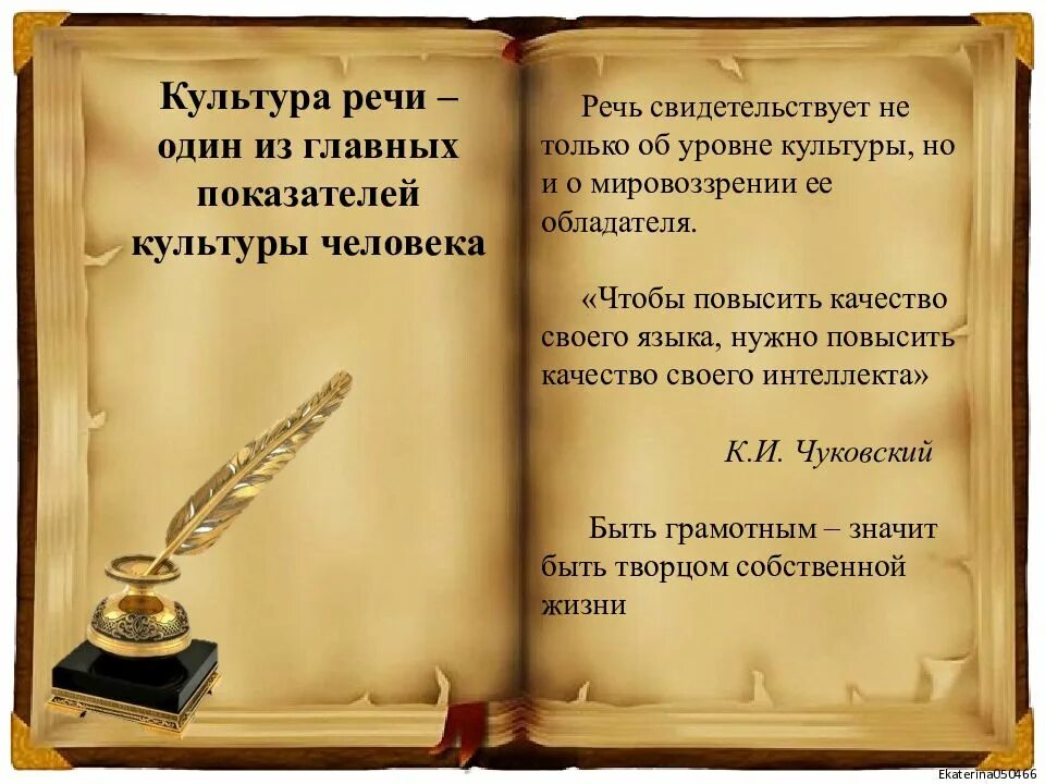 Литературный язык культура речи. Мой русский язык. Культура речи - один из главных показателей. Русский язык – мой мир, моя душа, моя Вселенная.. Проект из жизни слов.