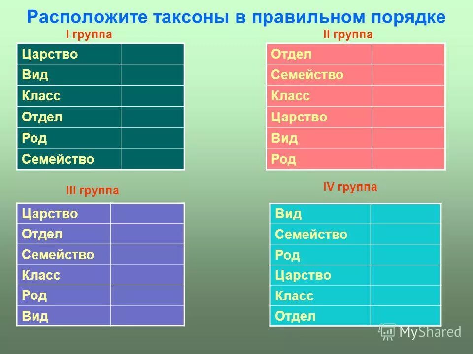 Царство отдел класс порядок род. Вид класс царство род вид. царство отдел класс порядок семейство род вид. класс семейство род вид. отдел класс род вид.