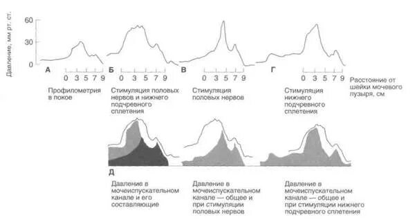 Точки лица ортодонтия. Профилометрия. Профилометрия. Профилометрия в стоматологии. Профилометрия уретры.