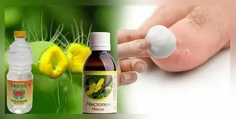 Грибок уксус отзывы