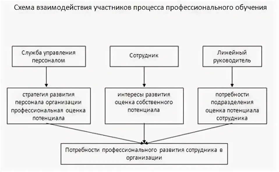 Профессиональное развитие курсовая работа. Развитие персонала схема. схема развития персонала в организации. схема процесса развития сотрудника в компании. профессиональное развитие персонала.