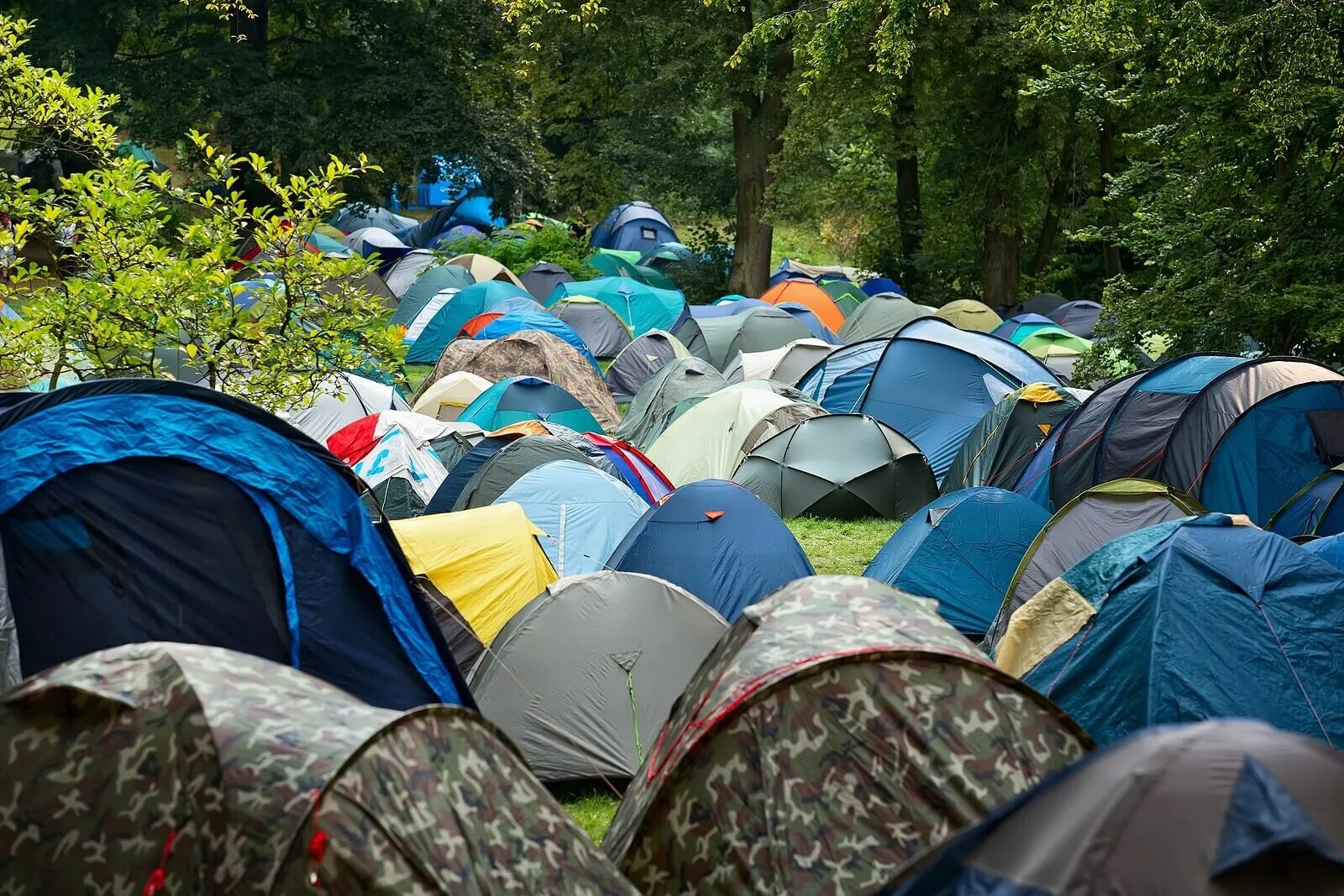 Vuoksa camp глэмпинг. Парки с ночевкой. Палатка в лесу. Палатка в горах. Спальное место в палатке.