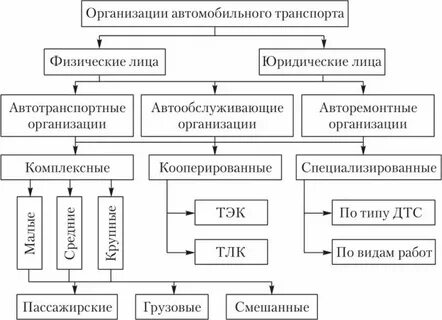 Предприятия и организации автомобильного транспорта