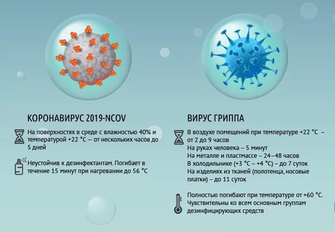 Сколько держится вирус в организме. Вирус гриппа. Вирус гриппа и коронавирус. Разновидности гриппа. Молекула гриппа.