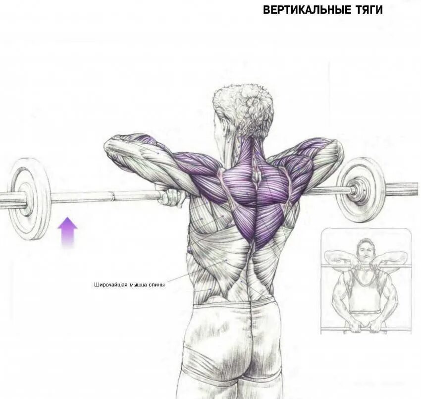 Упражнения на плечи. Упражнения на средние плечи. Упражнения на среднюю дельту плеча с гантелями. Упражнения на средние дельты с гантелями. Упражнения для прокачки дельтовидных мышц.