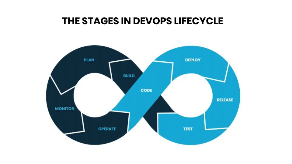 Stages of the life cycle
