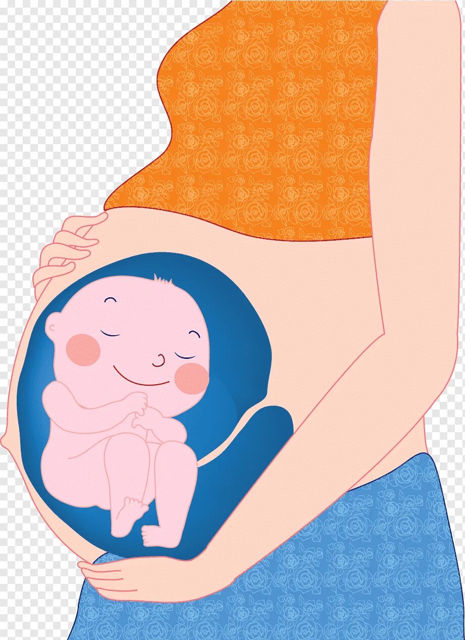 Дети внутри мамы. Беременность иллюстрации. Беременность ребенок в животе. Изображение беременной женщины.