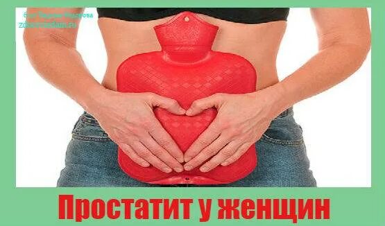 Простатит жена. У женщин бывает простатит. Простата бывает у женщин.