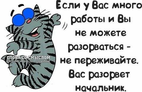 Прикол 52 в чем смысл
