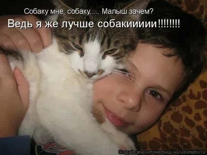 Песня купите мне собаку