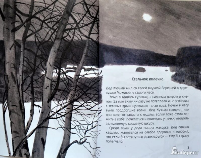 Стальное колечко кратчайшее содержание. Стальное колечко паустовский. сказка паустовского стальное колечко. сказка стальное колечко читать.