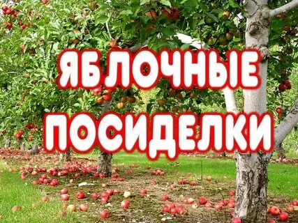 Яблочные посиделки