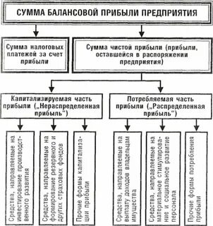 Право самостоятельно распоряжаться прибылью