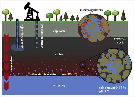 Oil reservoir