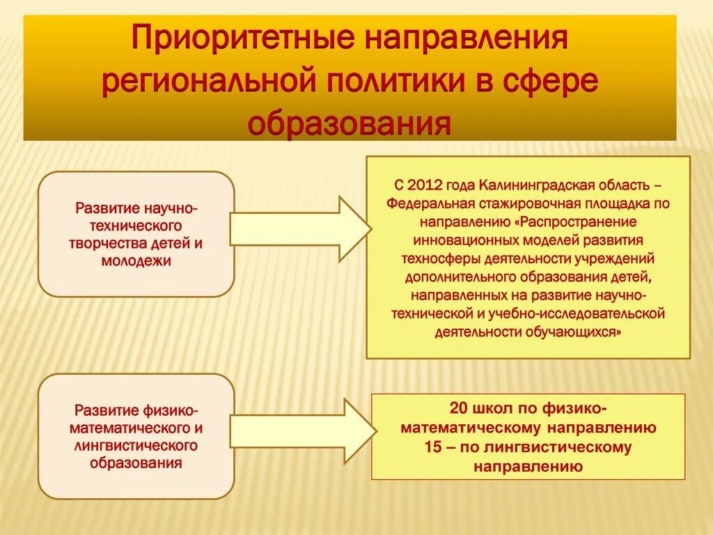 Приоритетные направления деятельности организации