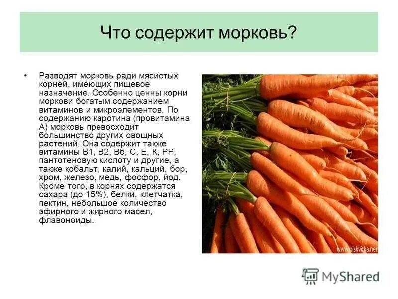 Какой витомин в морковке. Чем полезна морковка. Морковь какие витамины содержит и чем полезен. Морковь источник витаминов. Морковь источник витаминов.