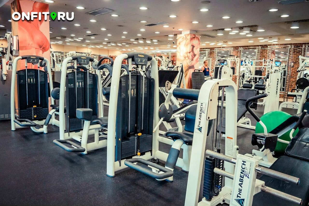 Спортклуб альфа. Спортклуб альфа. Альфа спортклуб иркутск. Альфа фитнес на каширке. Спортклуб альфа.