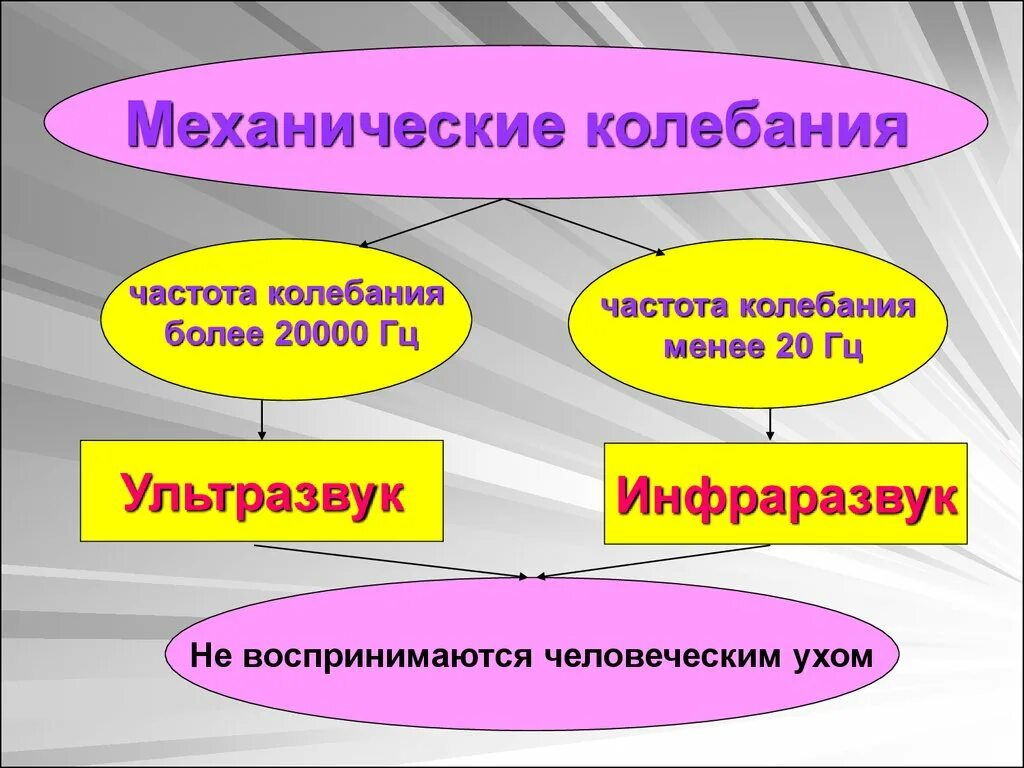 Ультразвук презентация по физике 9 класс. Ультразвук и инфразвук. ультразвук механические колебания. ультразвук и инфразвук физика. ультразвук презентация.
