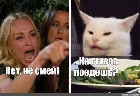 Мем с котом и двумя женщинами