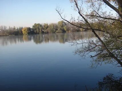 Лыткарино москва река
