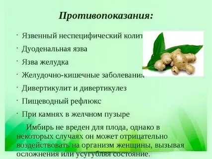 Корень имбиря польза и вред для здоровья